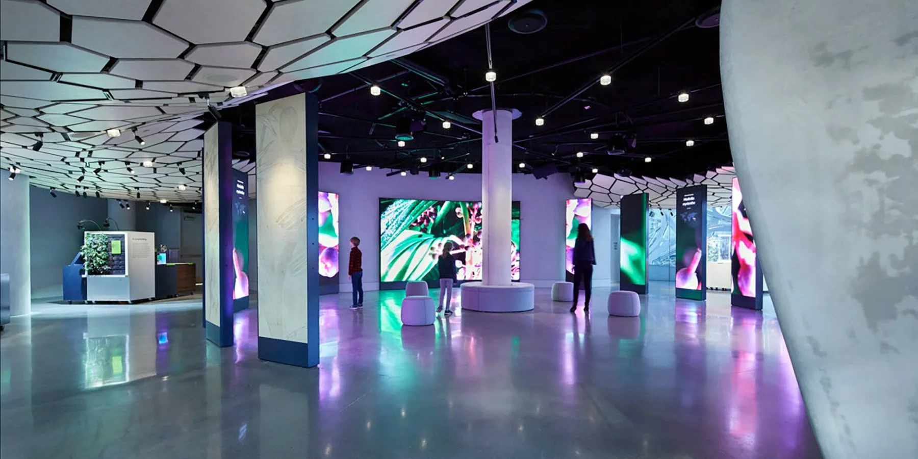 Understory at Amazon Spheres