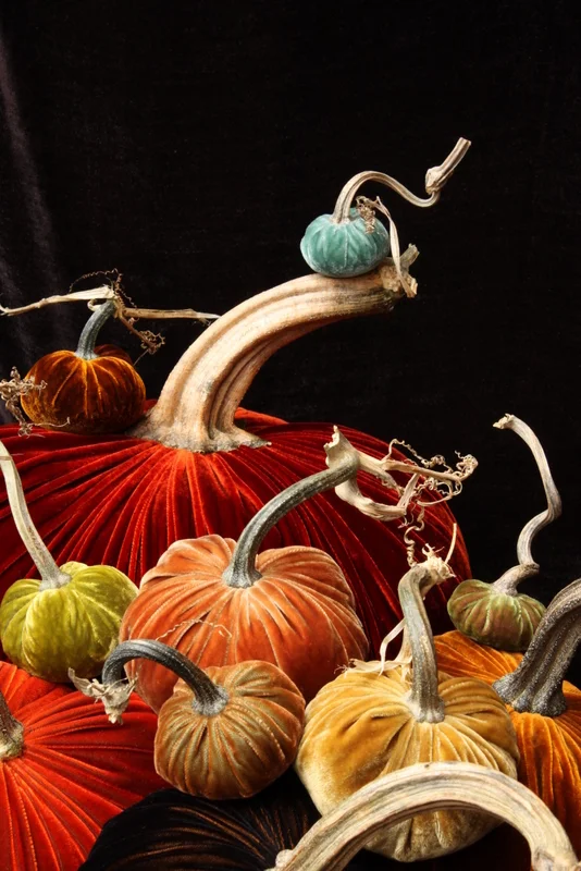 big red group best velvet pumpkins hot skwash may.jpg