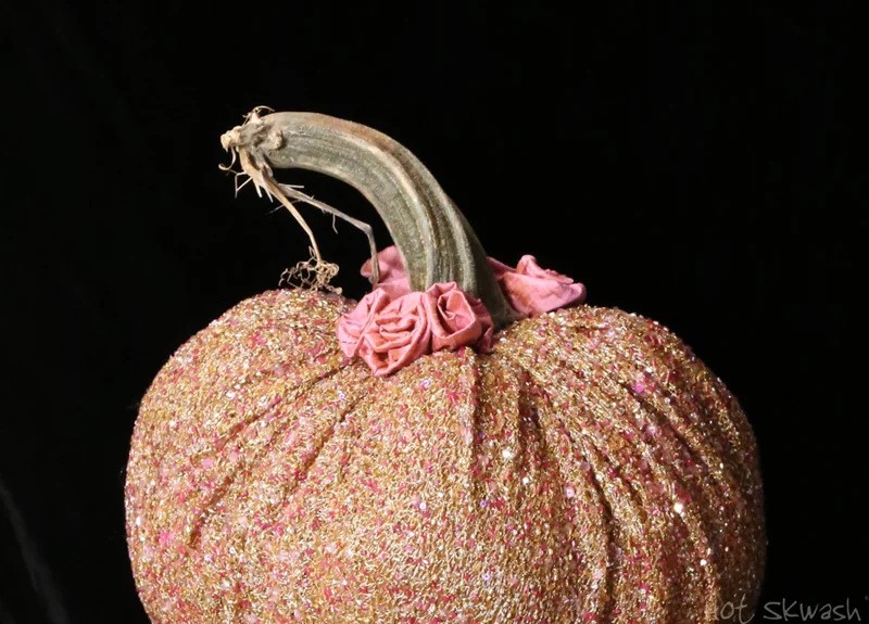hot skwash_velvet_pumpkins_img_0700 copy800.jpg