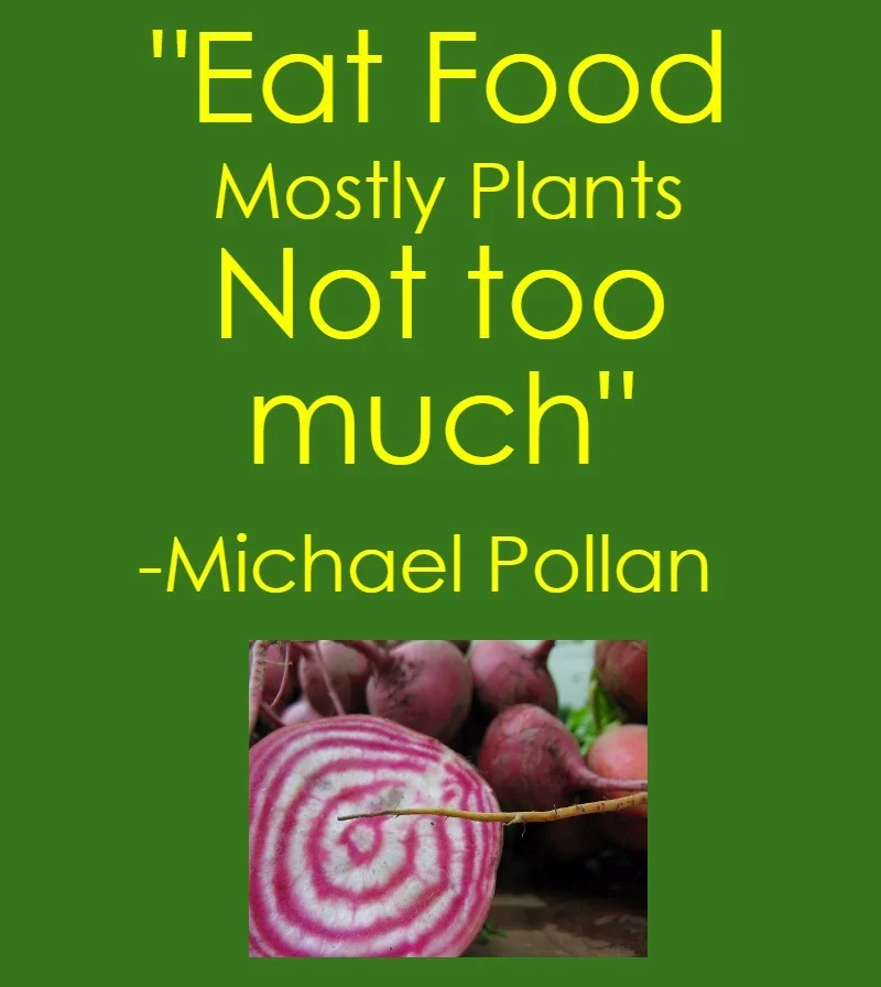 If you haven't read In Defense of Food, you should! It's not an overly hard read and it's available for free on PDF around the web if you can't swing for a cheap used copy on Amazon. Photo credit for the Chioggia beet goes to Mason Masteka @ flickr.com 