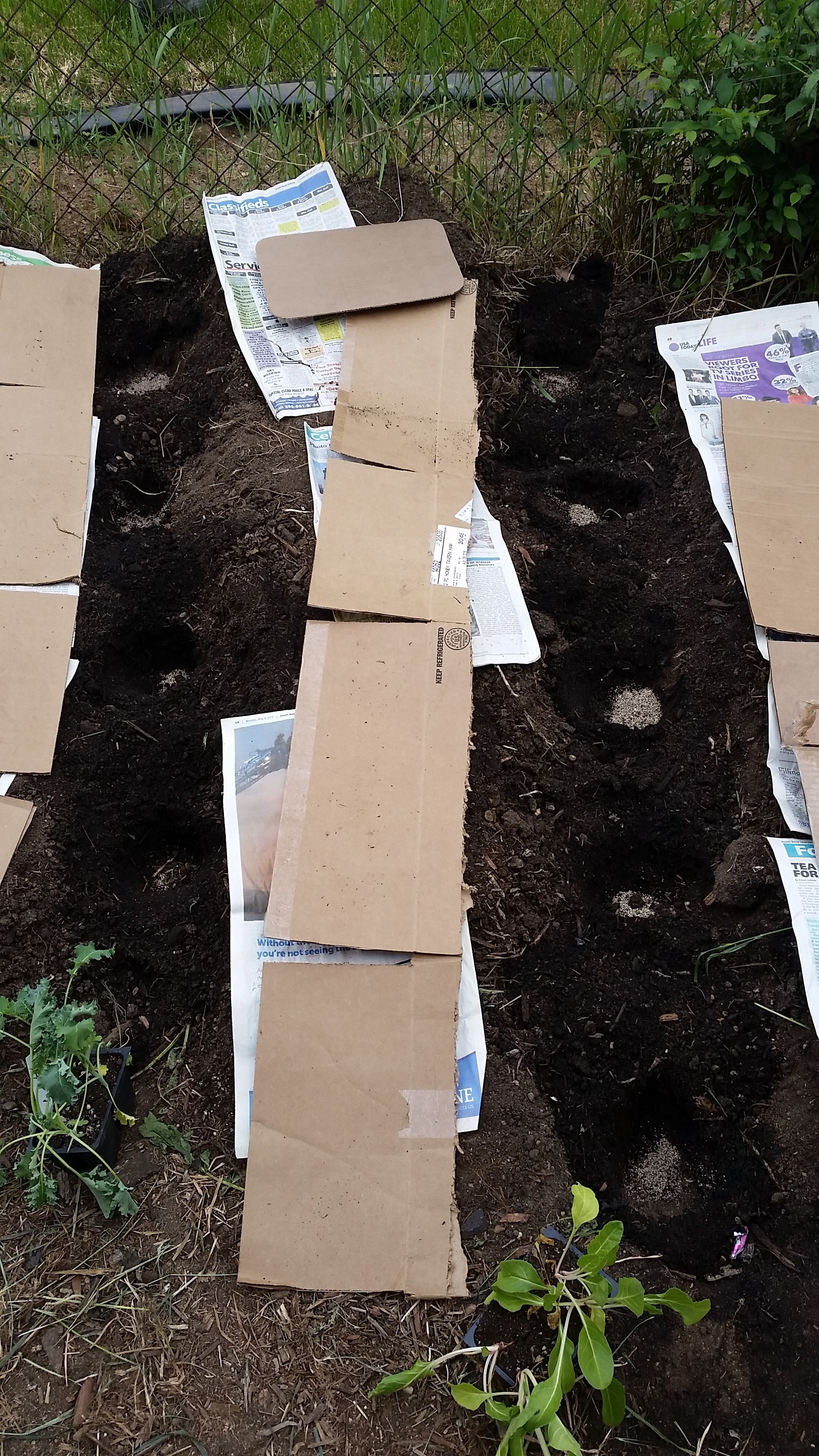 Lasagna Gardening