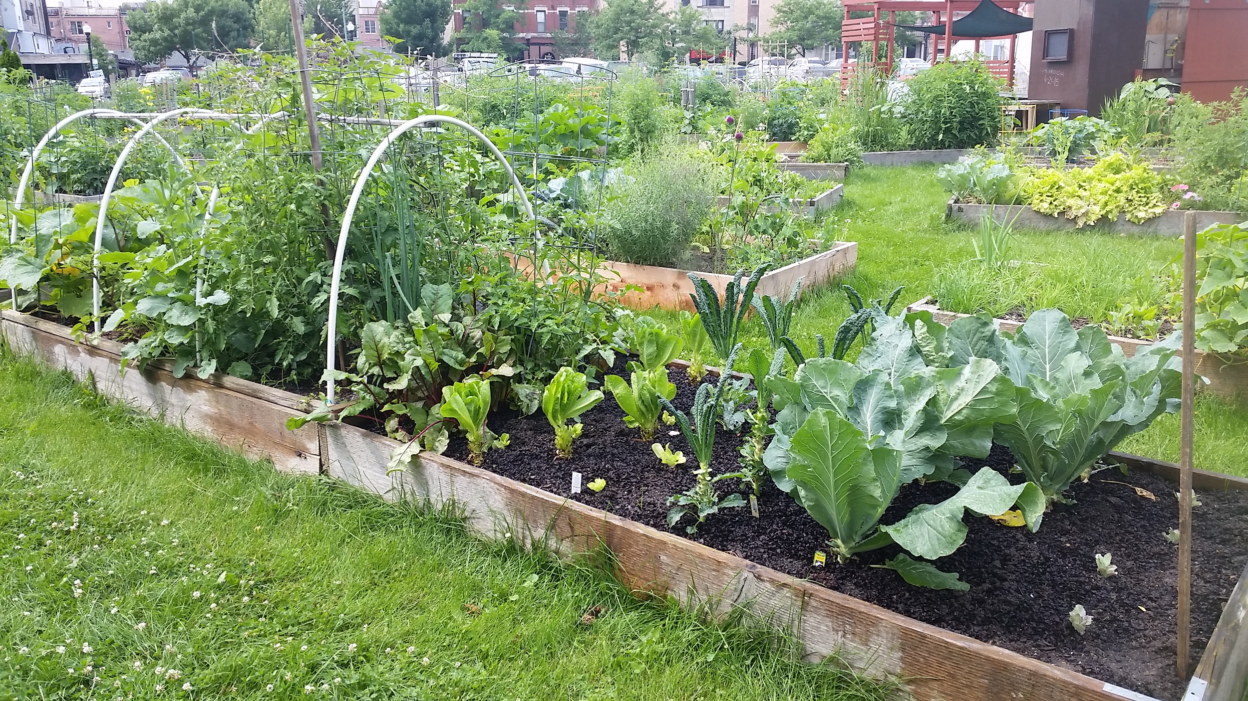 Fitness Farm, Chicago