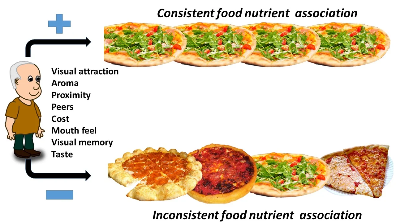 This schematic shows that our friend will achieve consistent food nutrient associations if he eats the same kind of pizza for one of his meals everyday. On the bottom half, we see that choosing different styles of pizza lead to inconsistent food nutrient association. This inconsistent food nutrient association may lead to overeating and contribute to weight gain over time.
