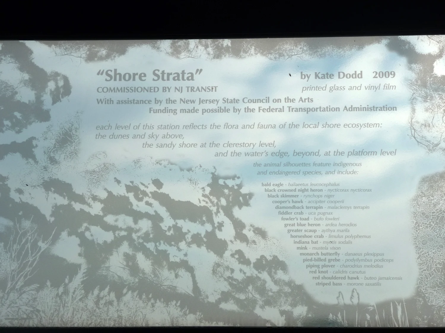 Shore Strata, detail of credit plaque