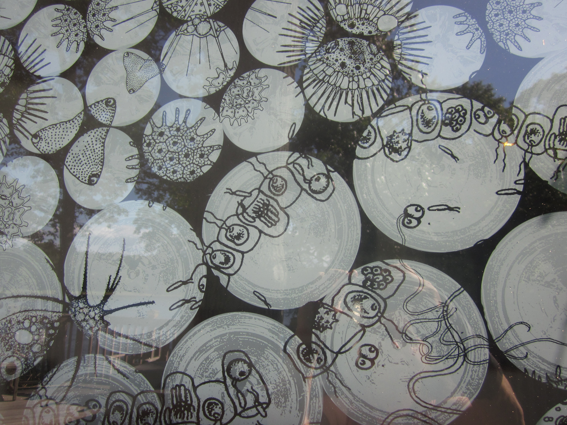 water: illusions of purity, window detail