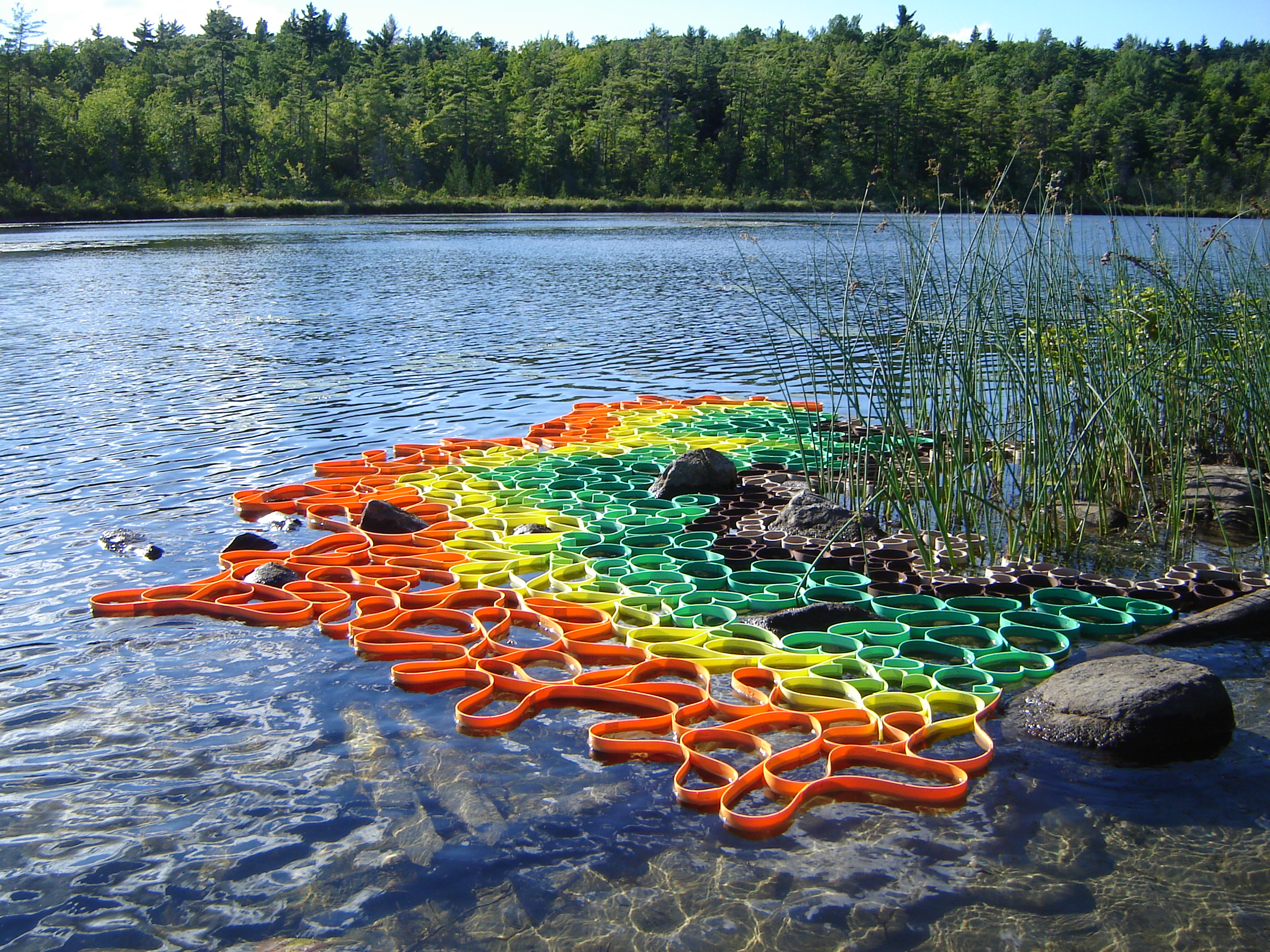 Flotation Device Series — kate dodd