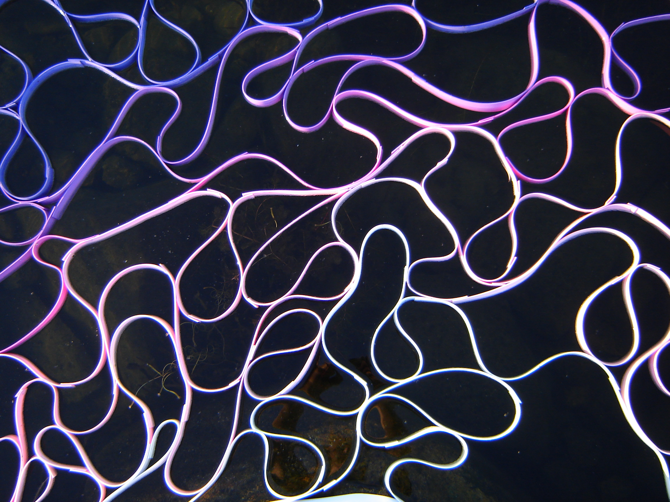 Flotation Device series, Seagull rock detail