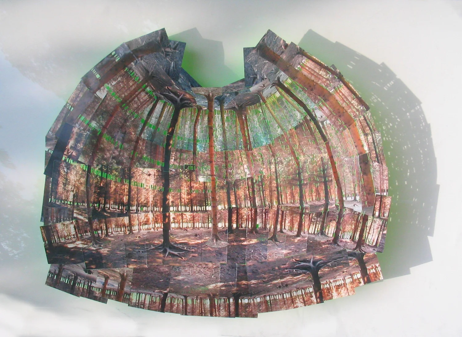 hoop skirt