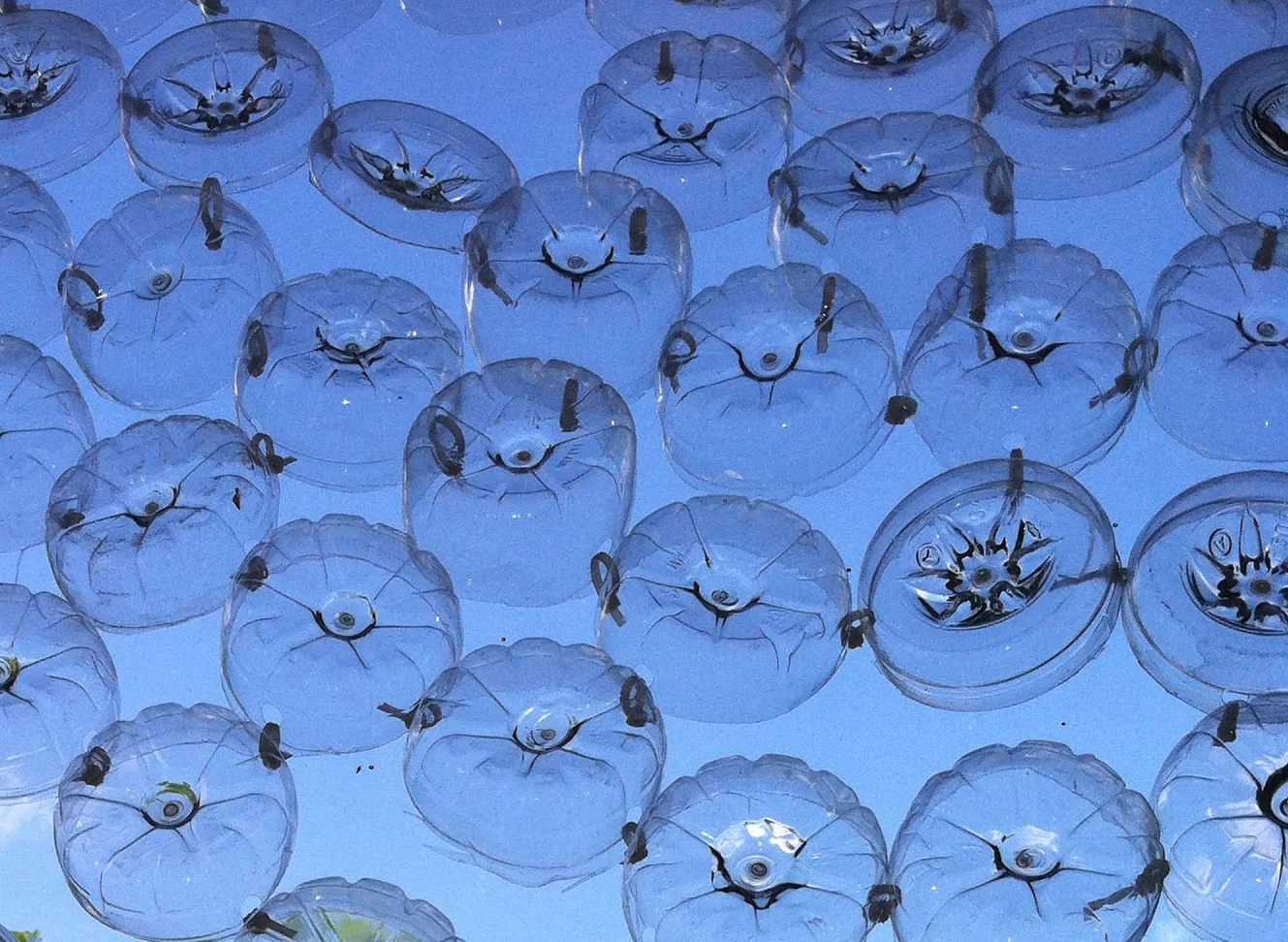 image for nexxt .jpg