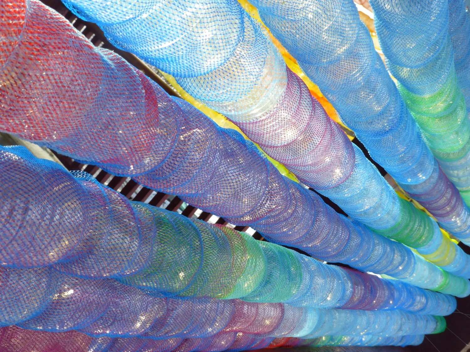 false spring, detail