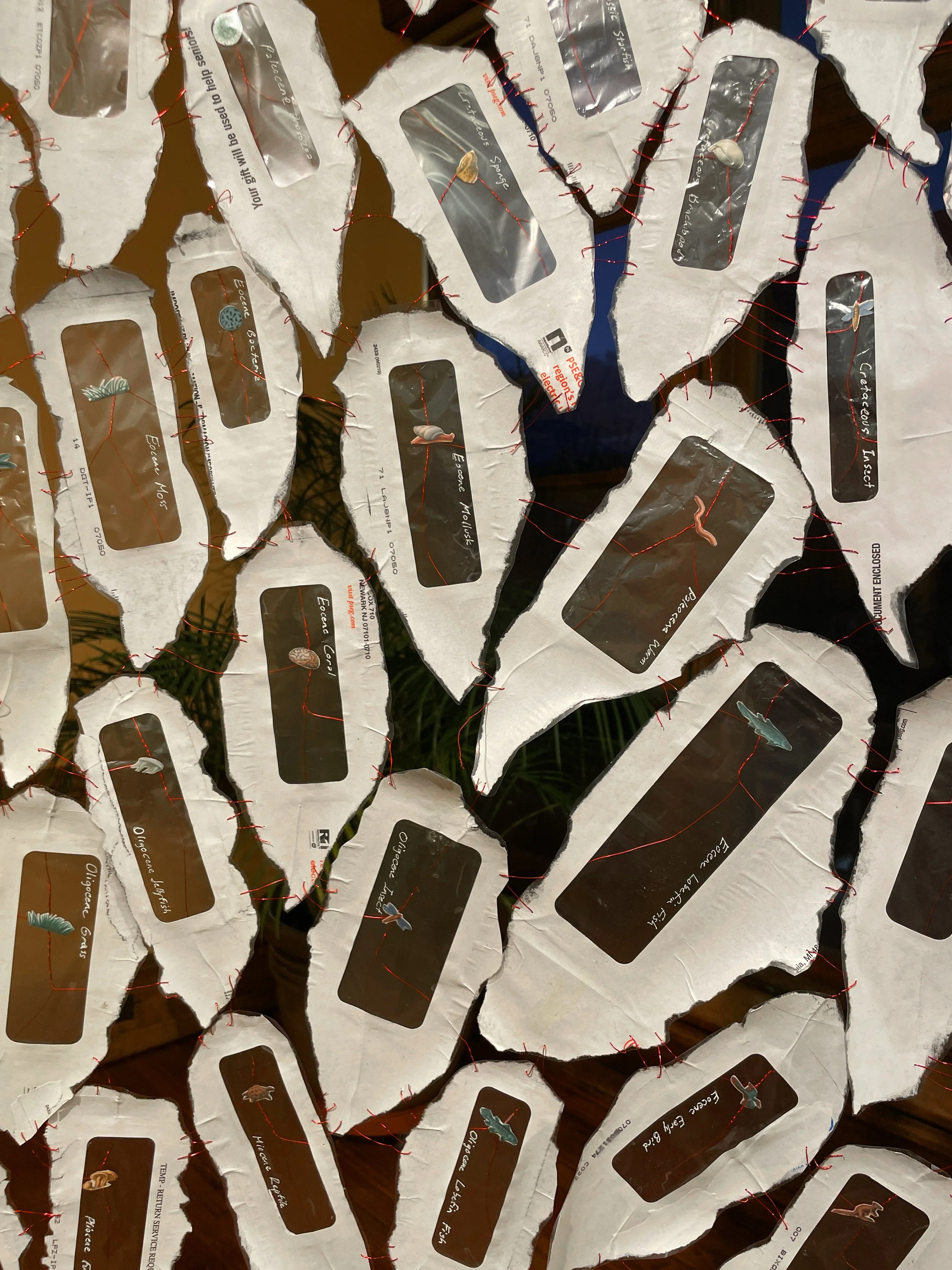 Inherited Pelt, detail