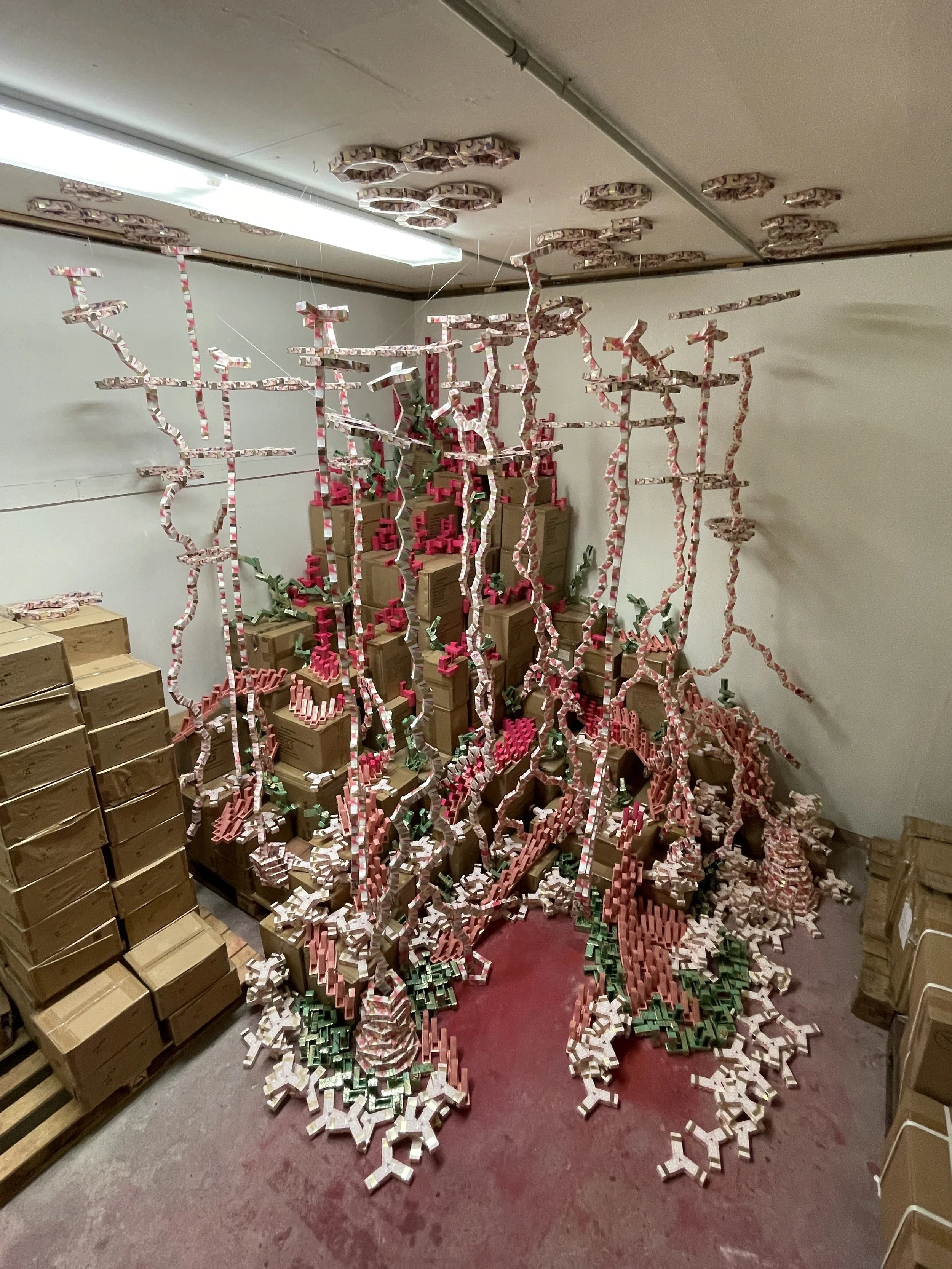 Boxes and Boxes of Benevolent Beauty