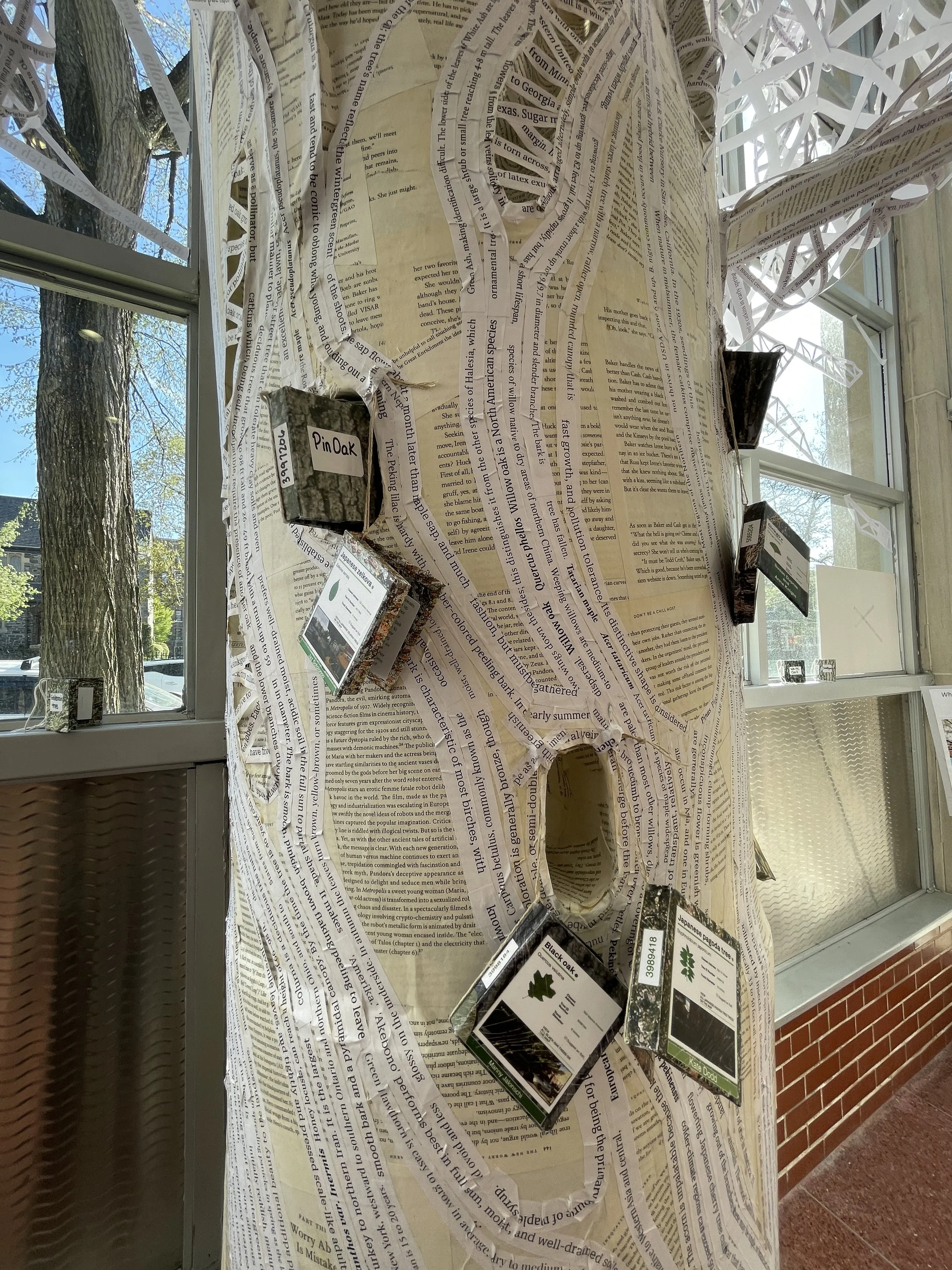 mini tree books and knotholes for book storage