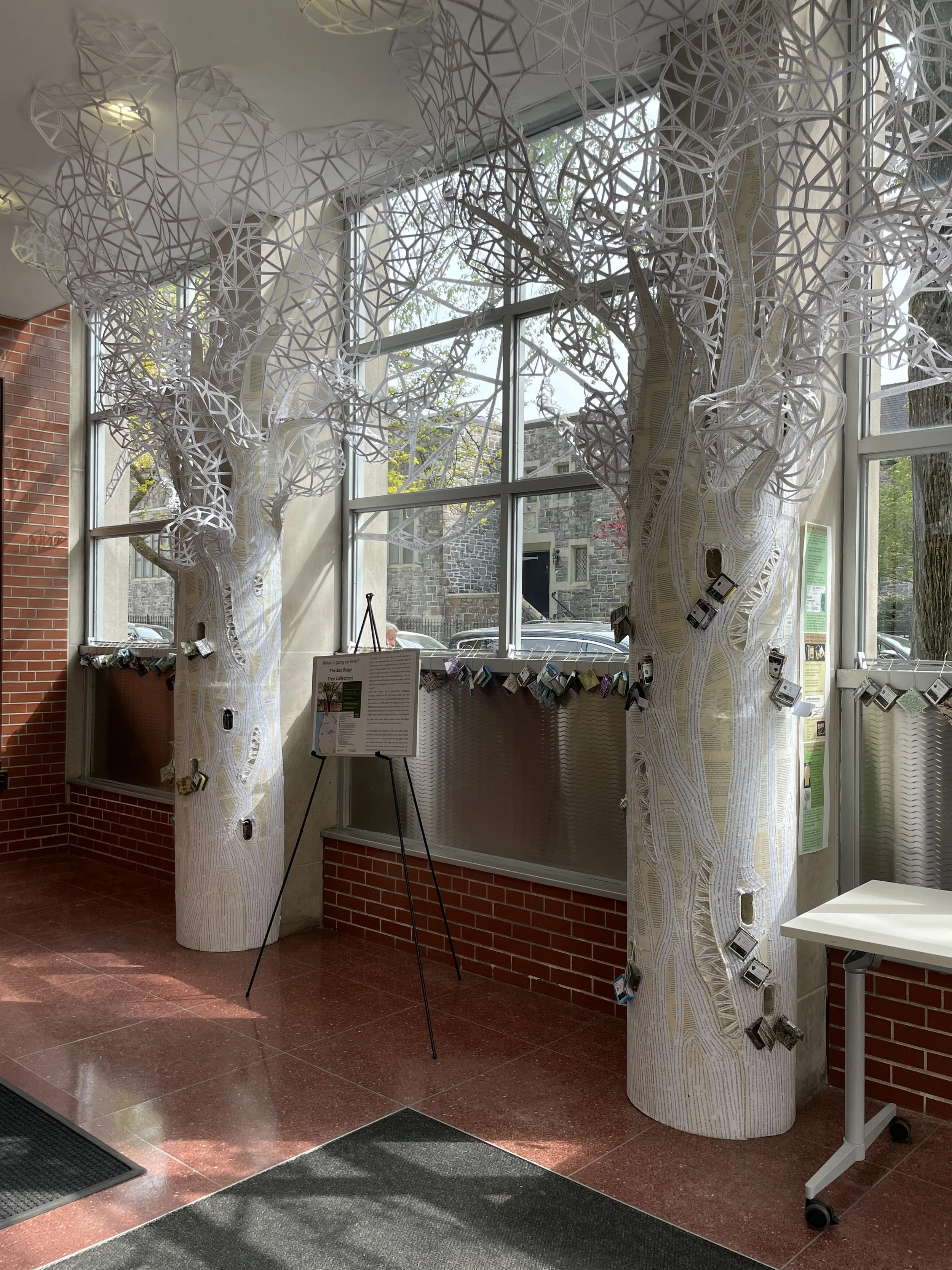 Bay Ridge Tree Collection