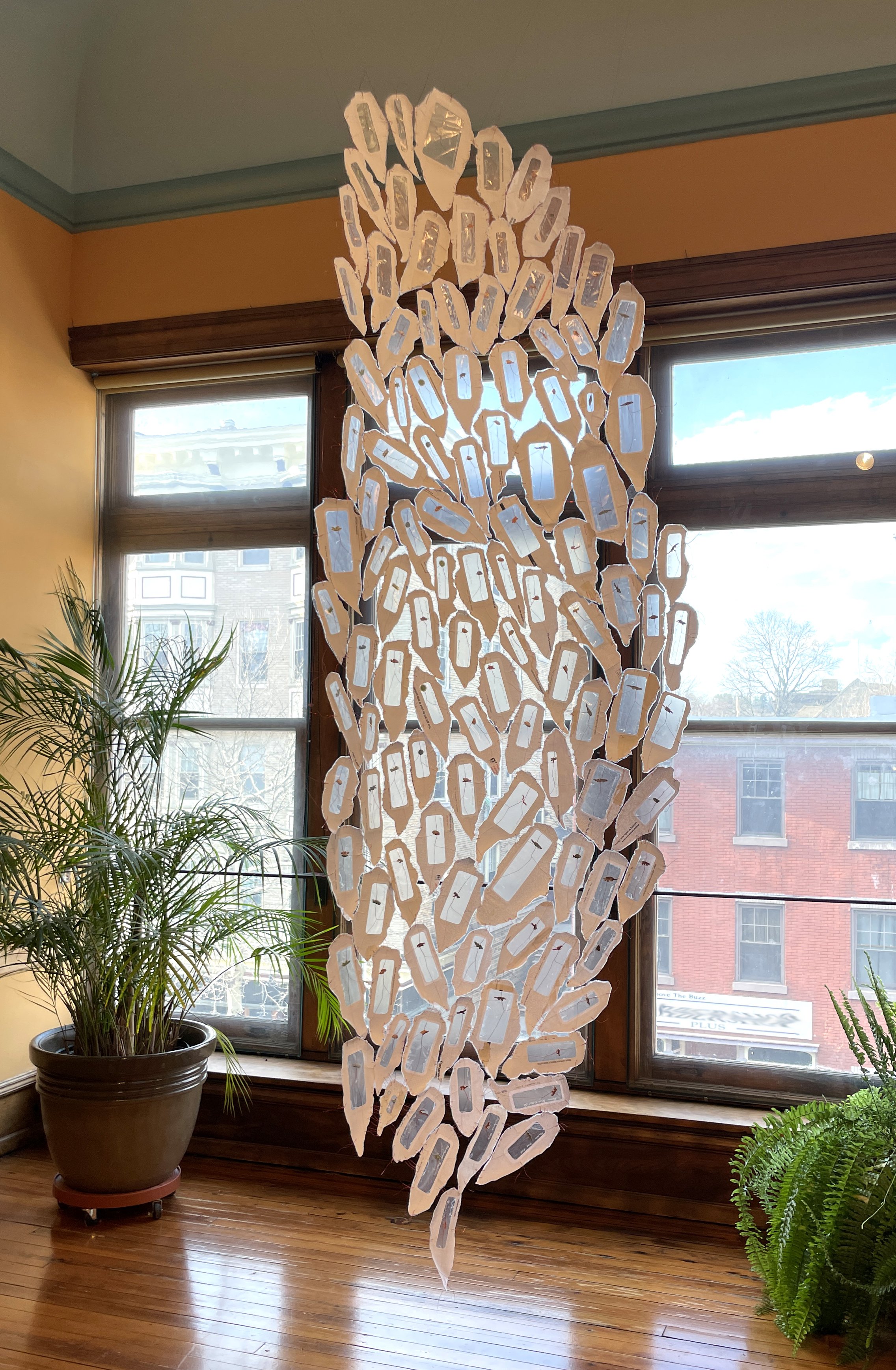 overview daylight.JPG