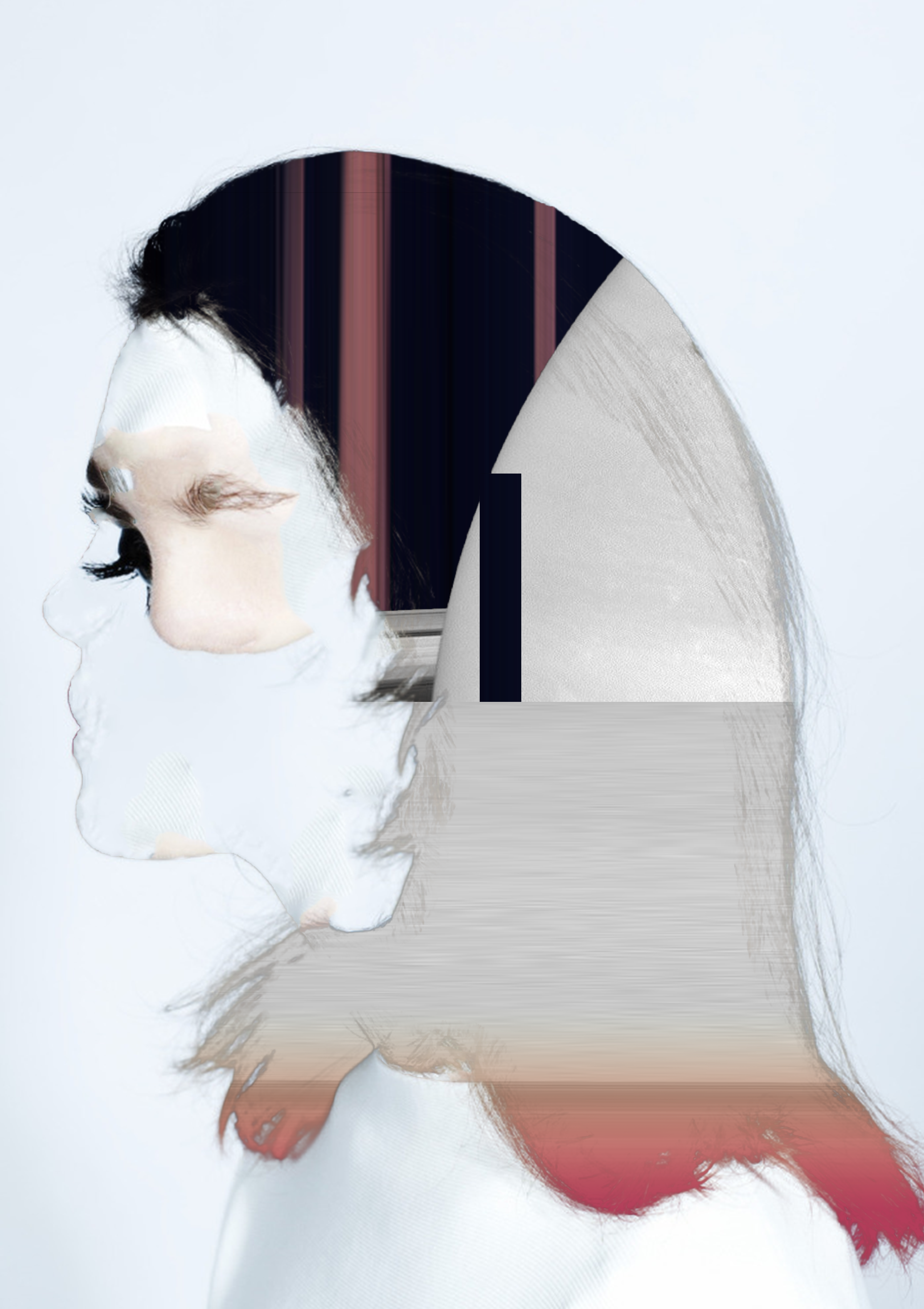 Removed Portrait / 001 . 2017