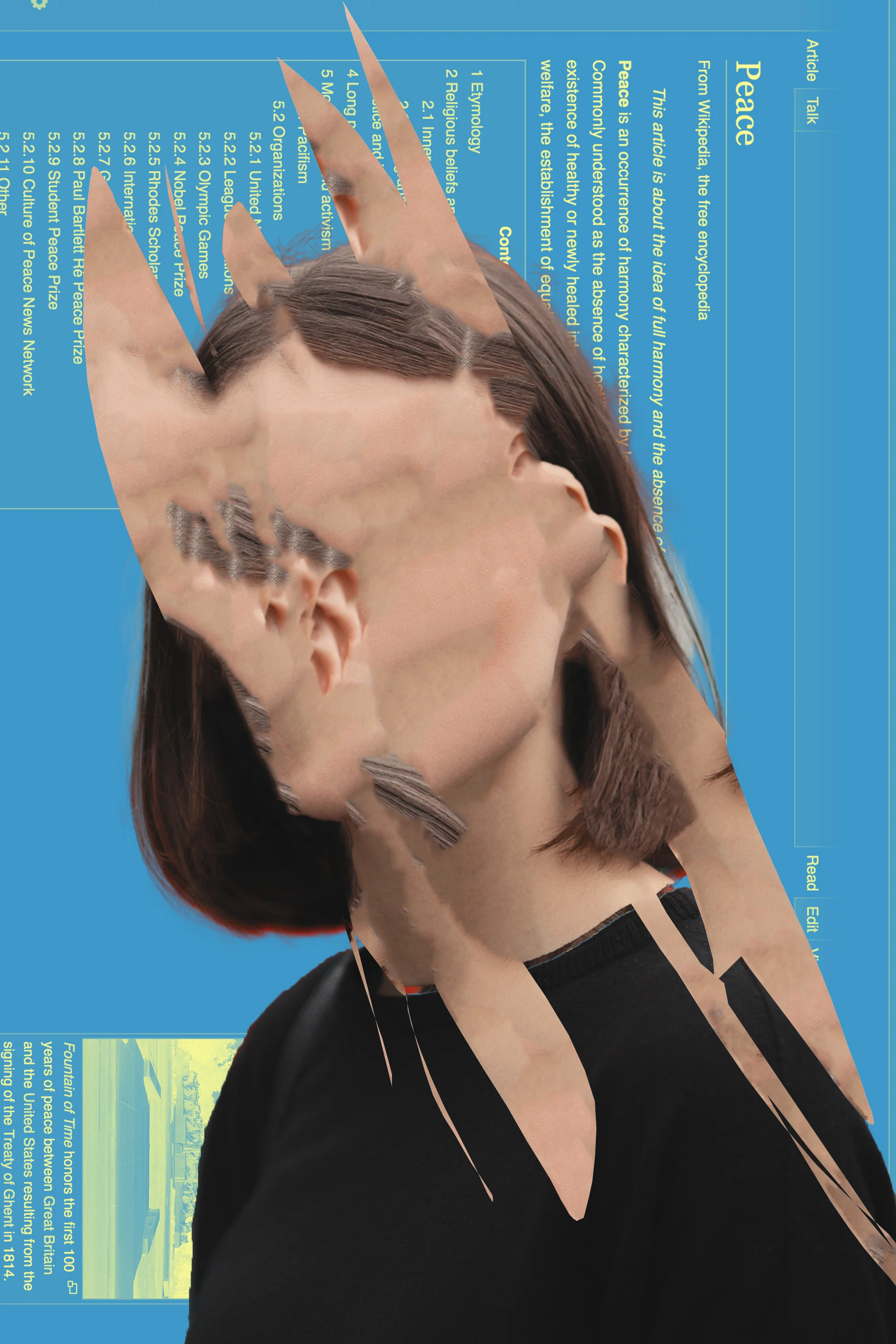 Removed Portrait / 013 . 2017