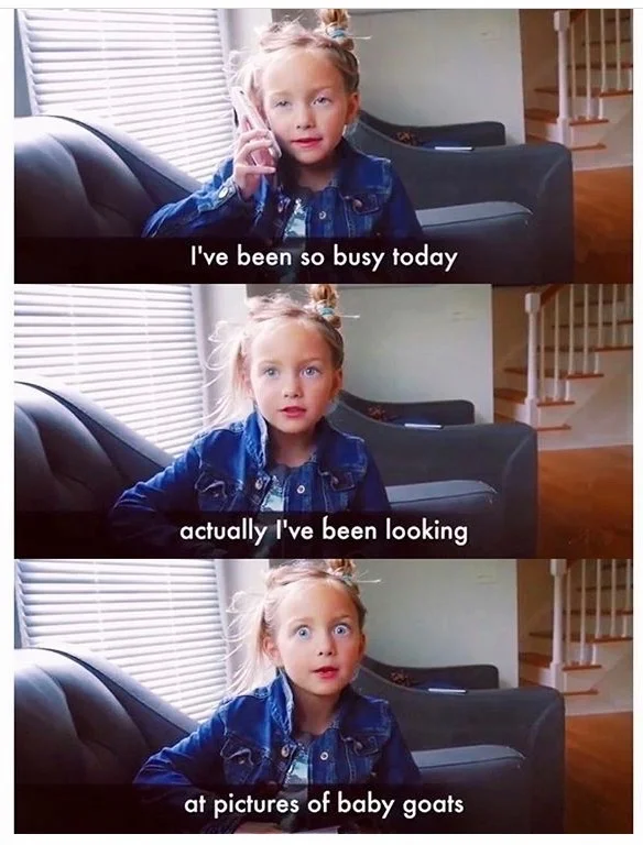 Follow @katieryan430 on Instagram. This Kid Is a Hoot.