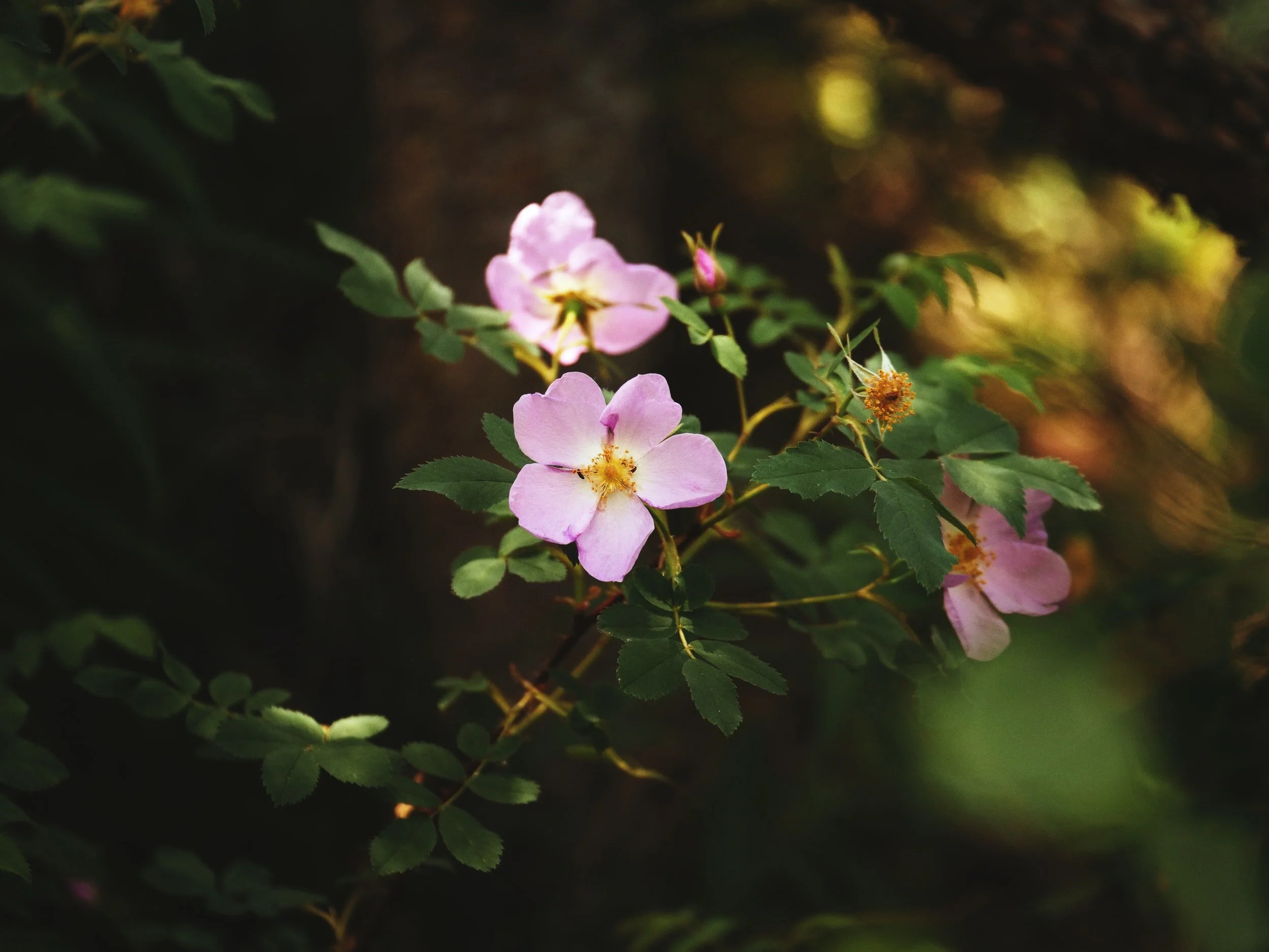 unsplash-image-g1RJ9eJH1qc.jpg