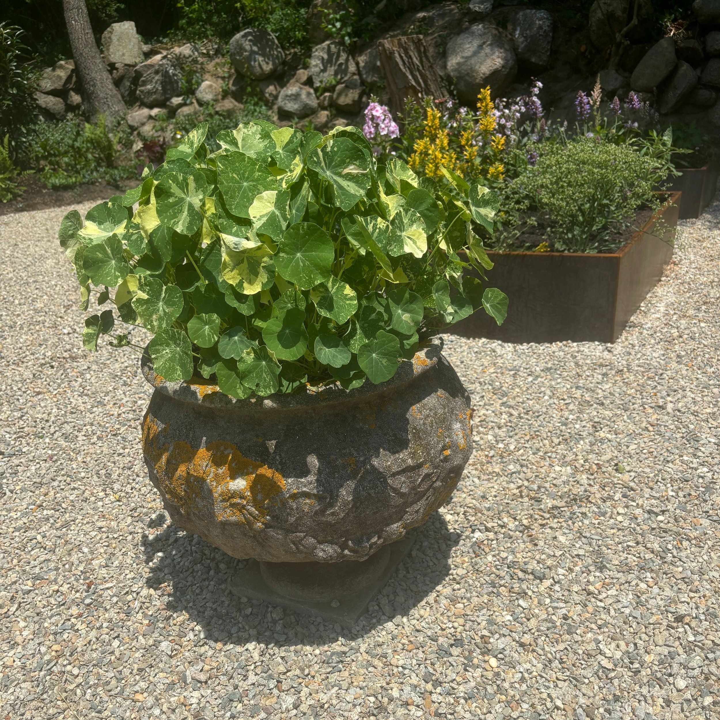 IMG_9166.jpg