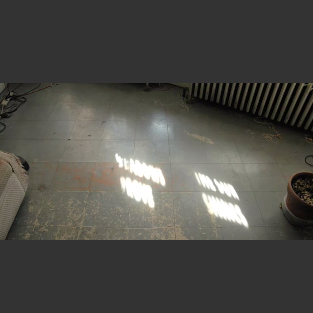 more-motion-work-06.png