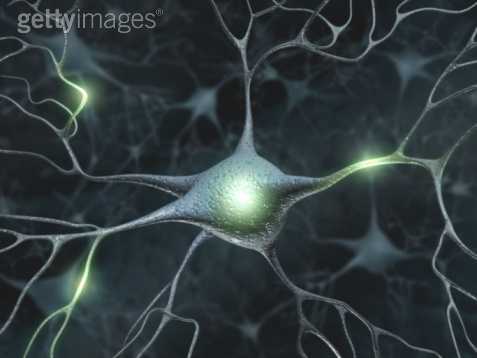 Neuron 5 Getty.jpeg