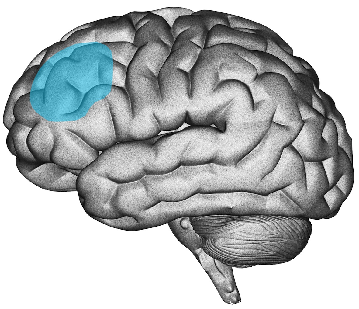 dorsolateral prefrontal cortex tdcs