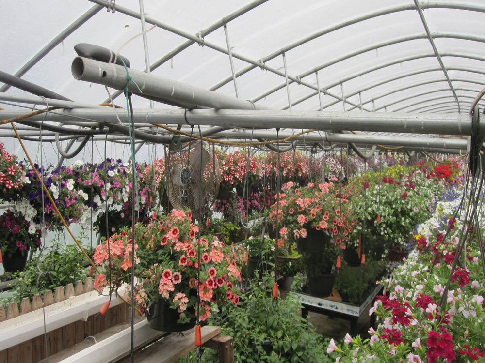 Summer 2013 012.jpg