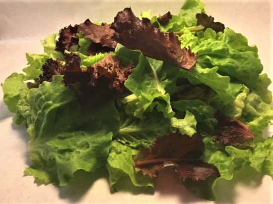 salad greens.jpg