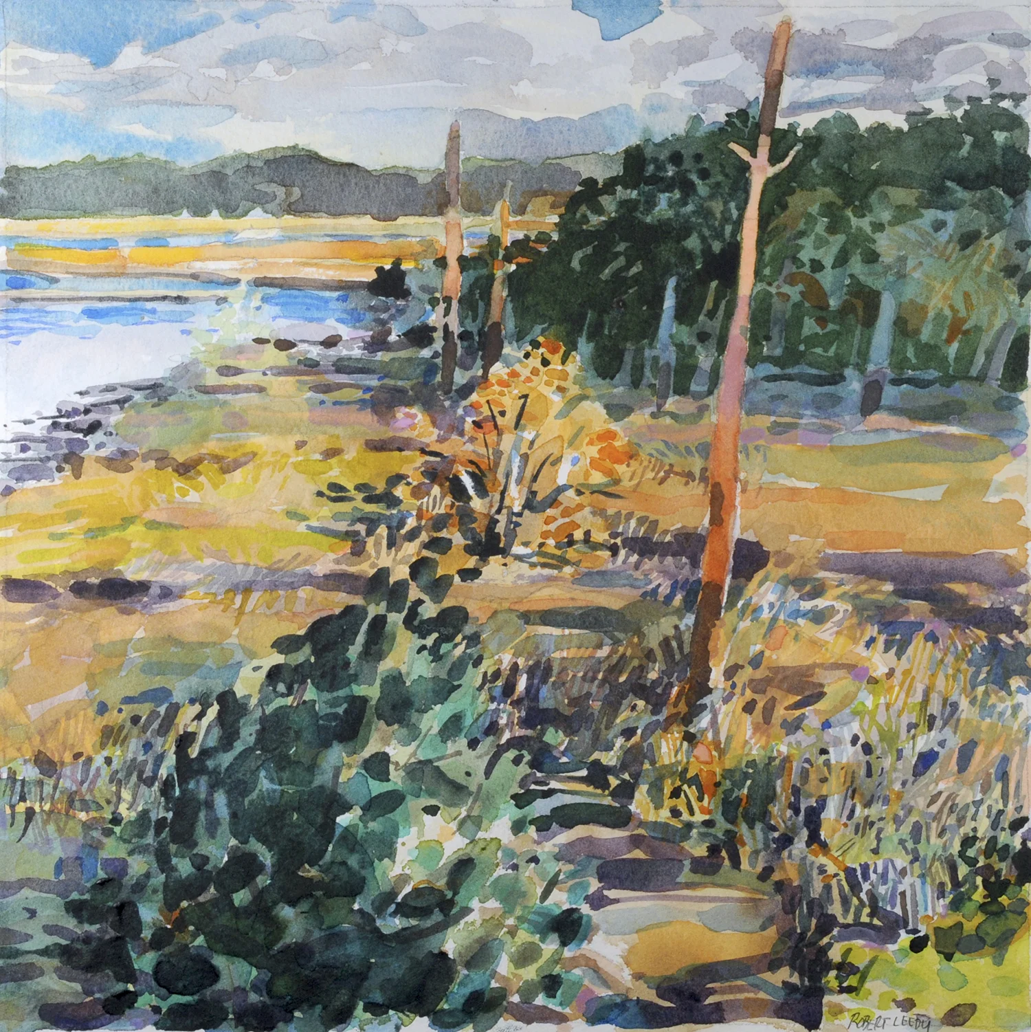 Castaway Island Preserve 1.jpg