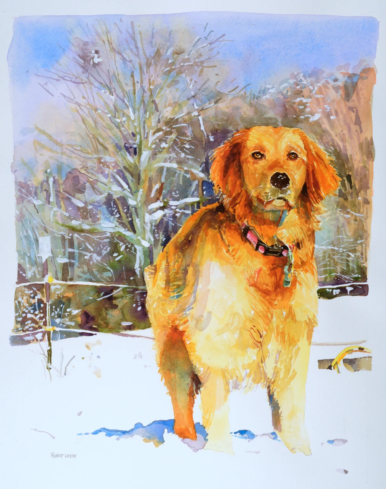 Lion in Winter.jpg