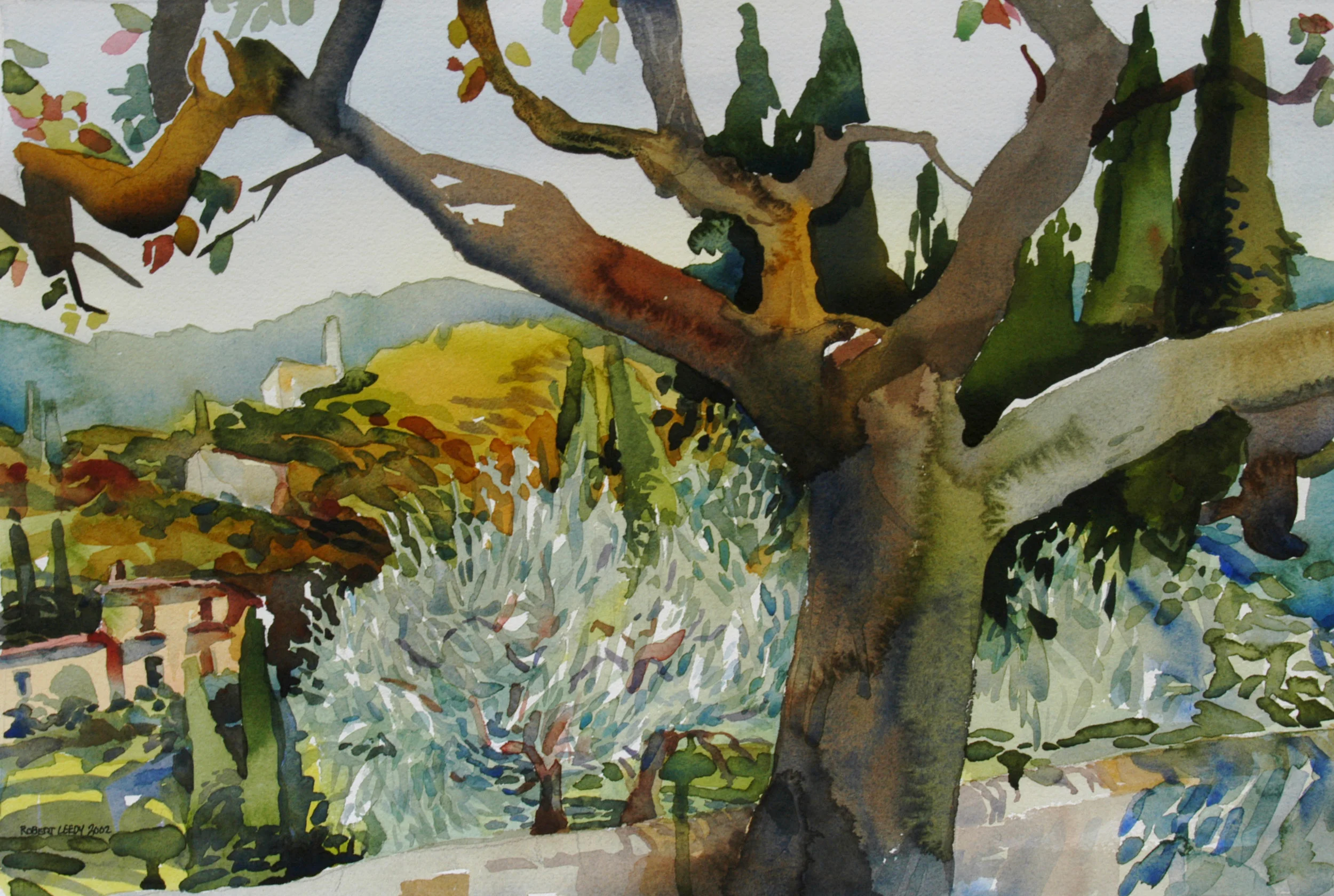 Olive Tree Lake Garda.jpg
