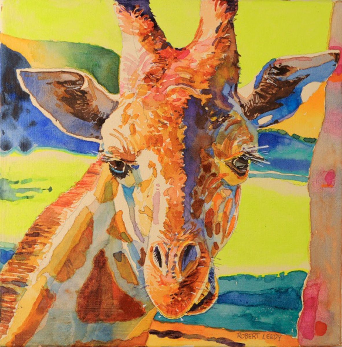 giraffa_camelopardalis.jpg