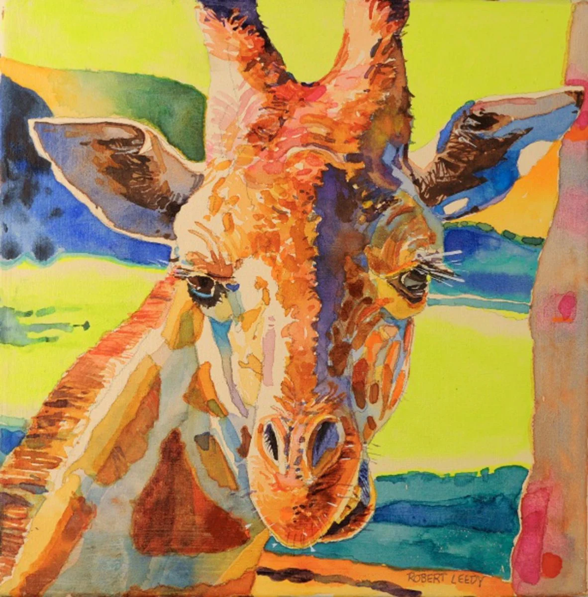 giraffa_camelopardalis.jpg