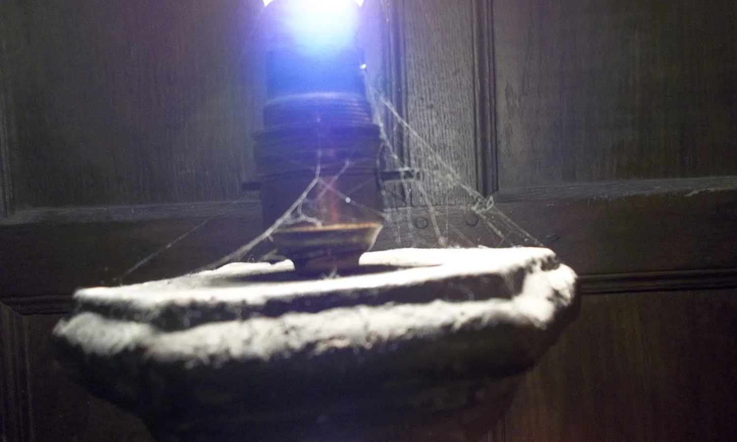 PS065_002_web.jpg
