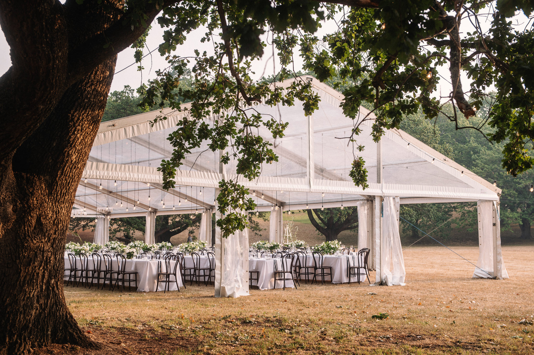  Entally Estate wedding with marquee reception on the oldest cricket pitch in Australia 