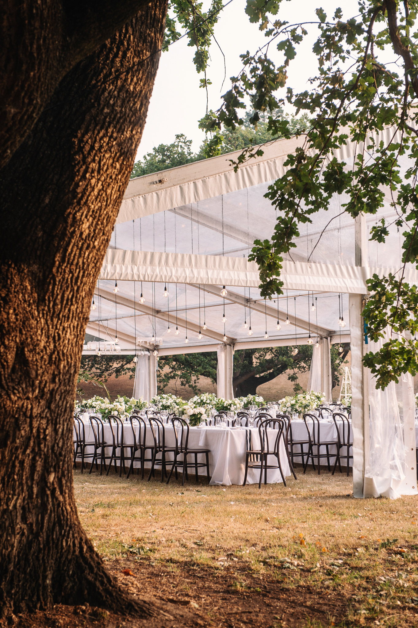  Entally Estate wedding with marquee reception on the oldest cricket pitch in Australia 