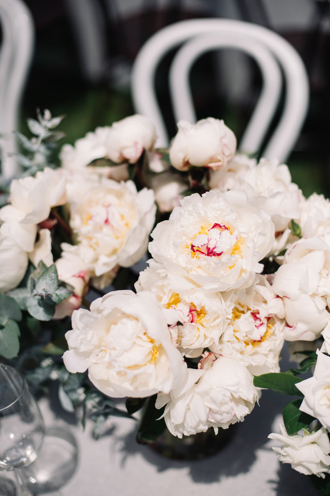 Seasonal peonies at Tasmanian Country Weeding 