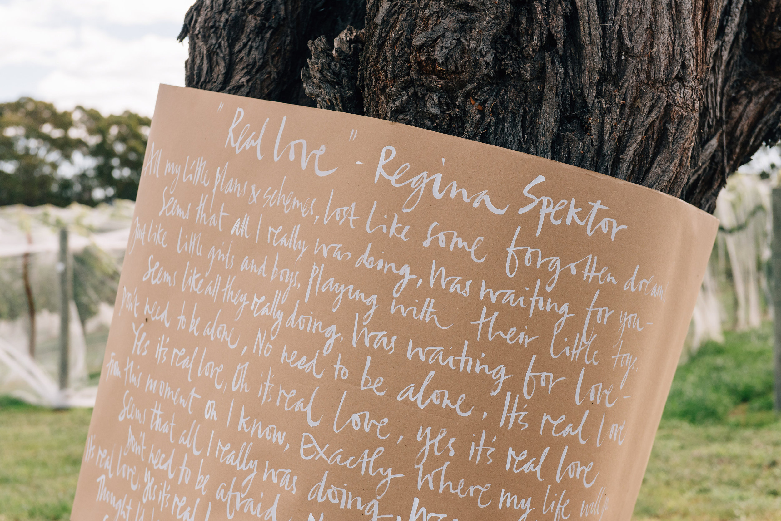  Hand written song lyrics around the Blackwood tree 