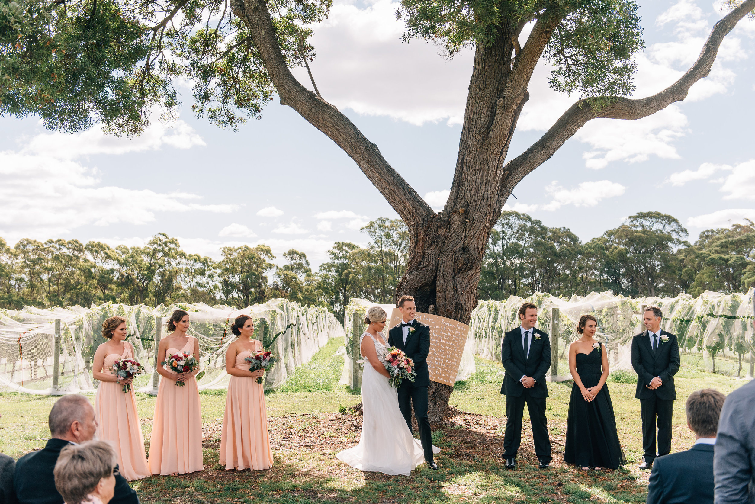  Goaty Hill wedding under the blackwood tree 