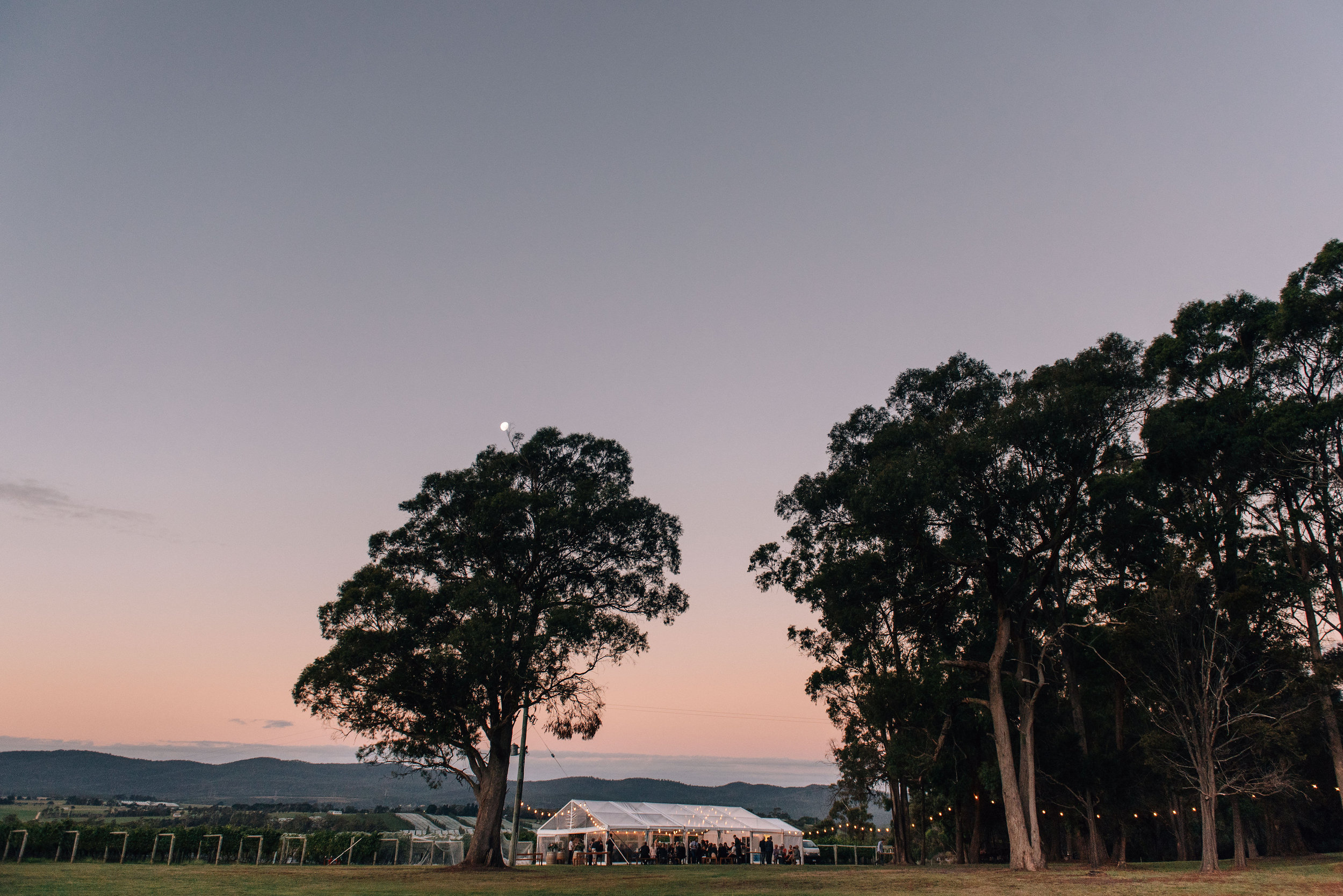  Clear marquee at Goaty Hill 