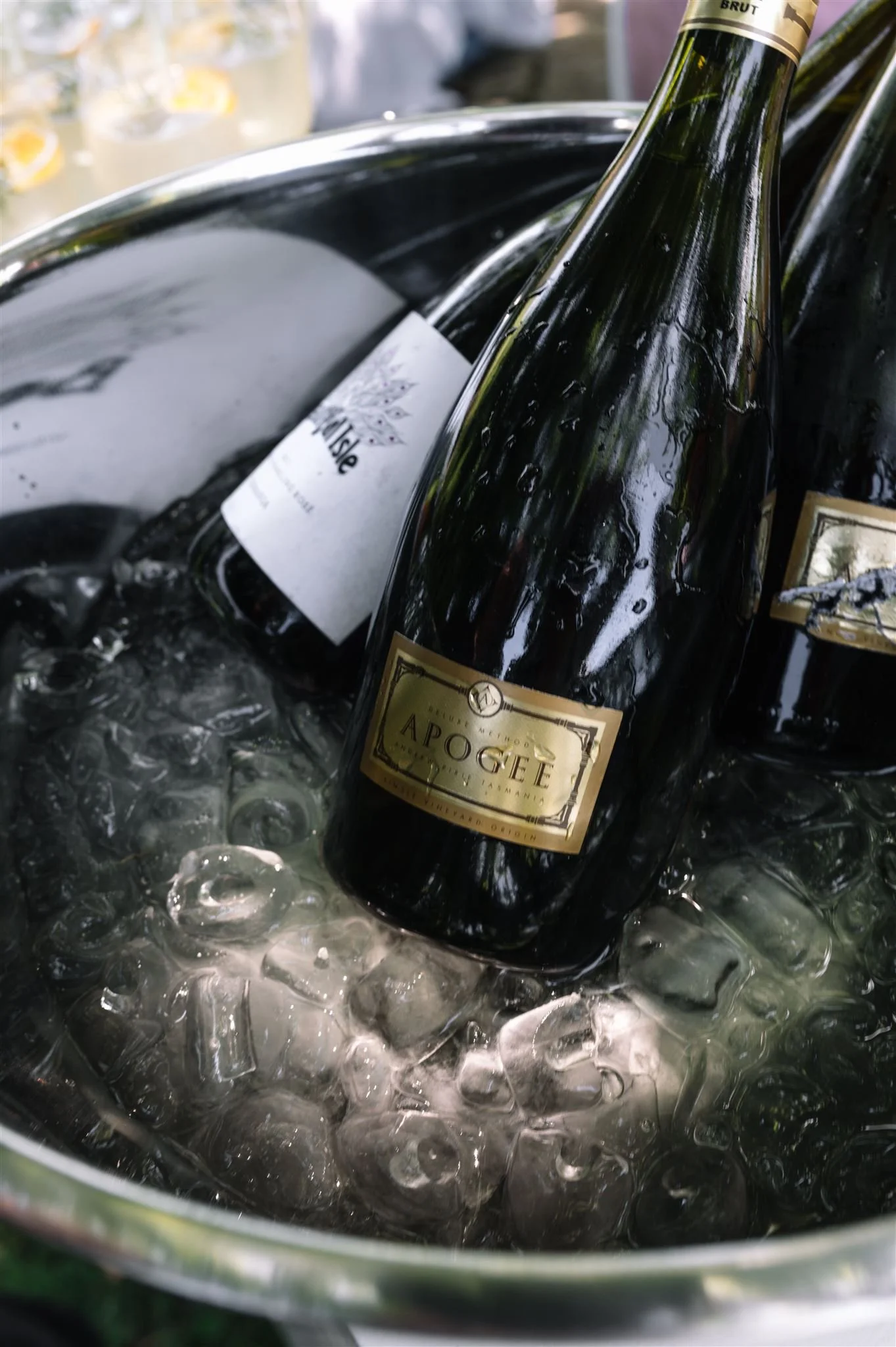 L+T-397_websize (1).jpg