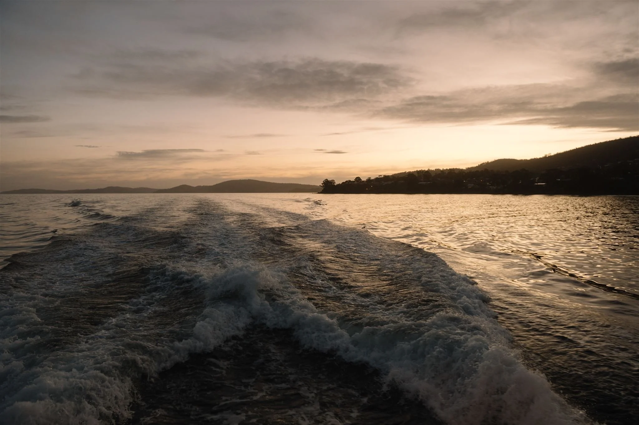 L+T-934_websize (1).jpg