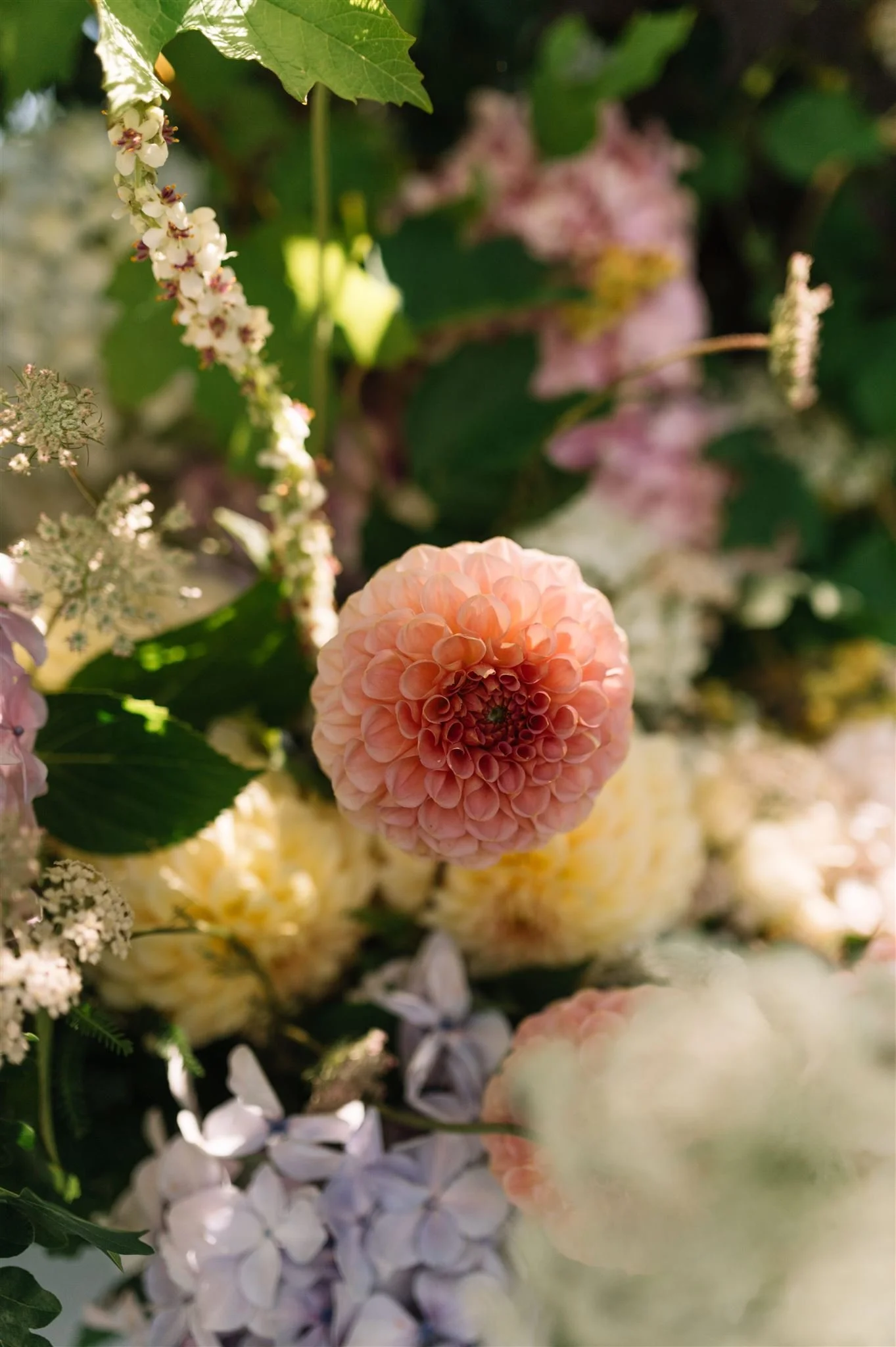 L+T-171_websize (1).jpg