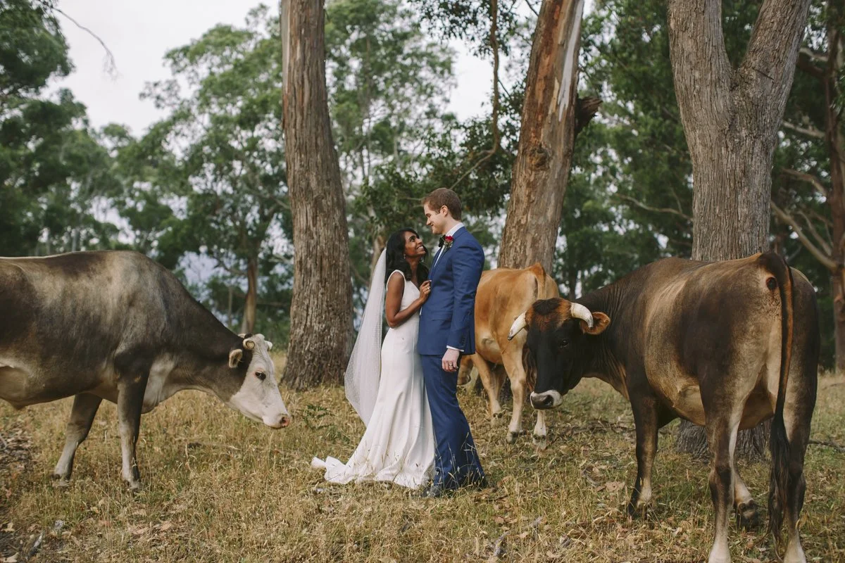 S AND J PREVIEWS-9.jpg