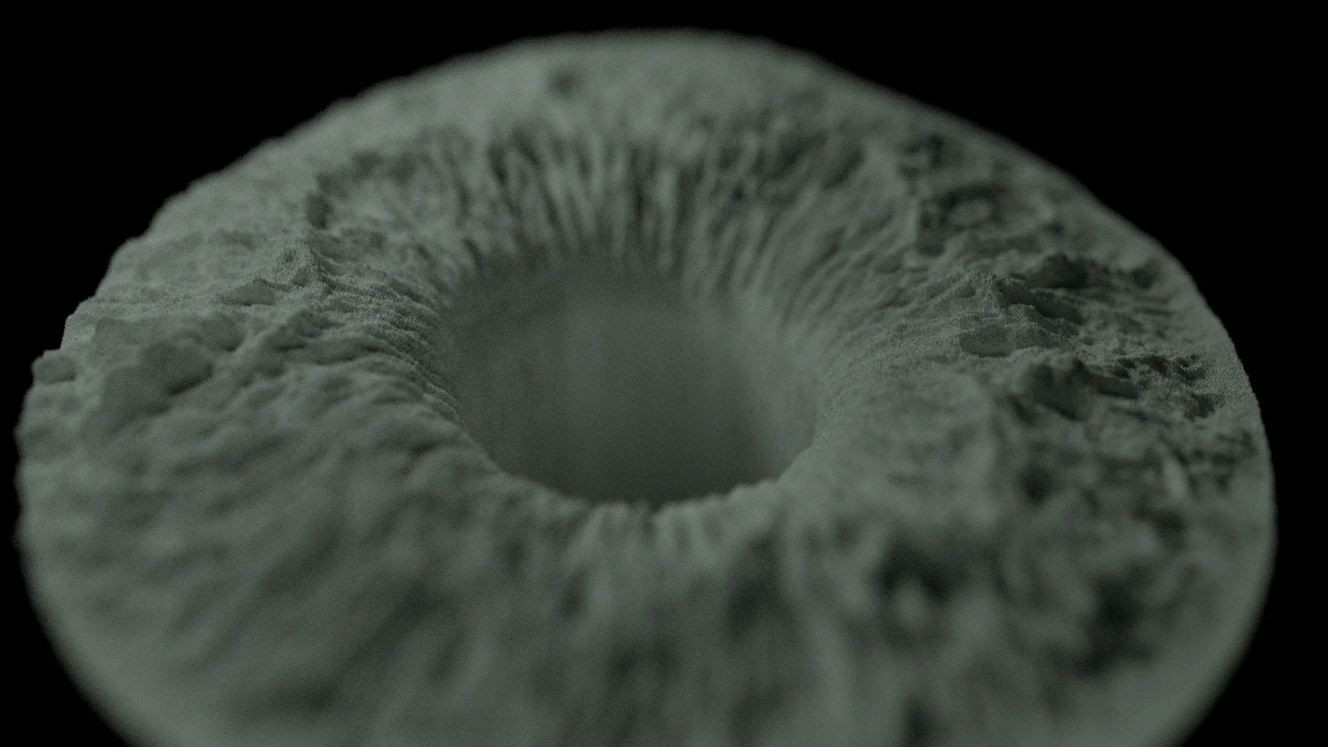 eye 5.jpg
