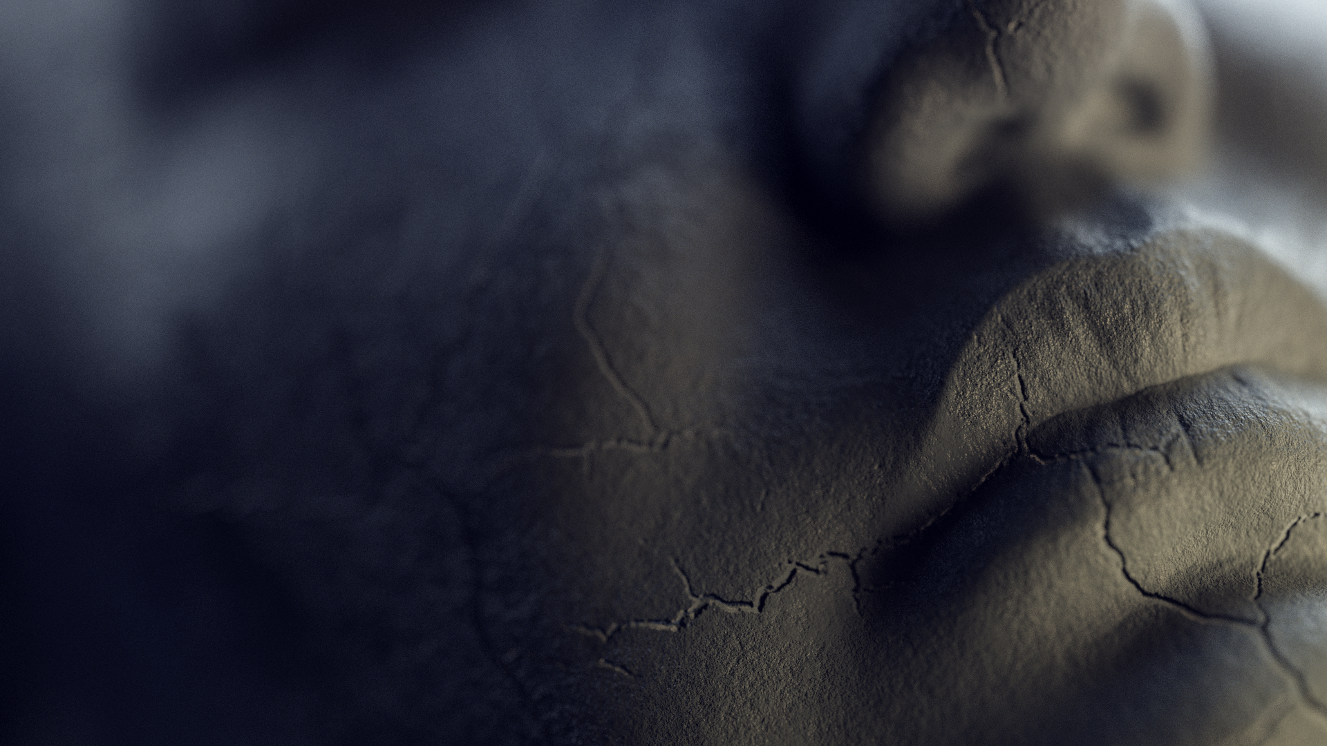 face_montage_macro_0999.png