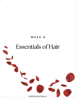 Download Your Workbook for Week 6