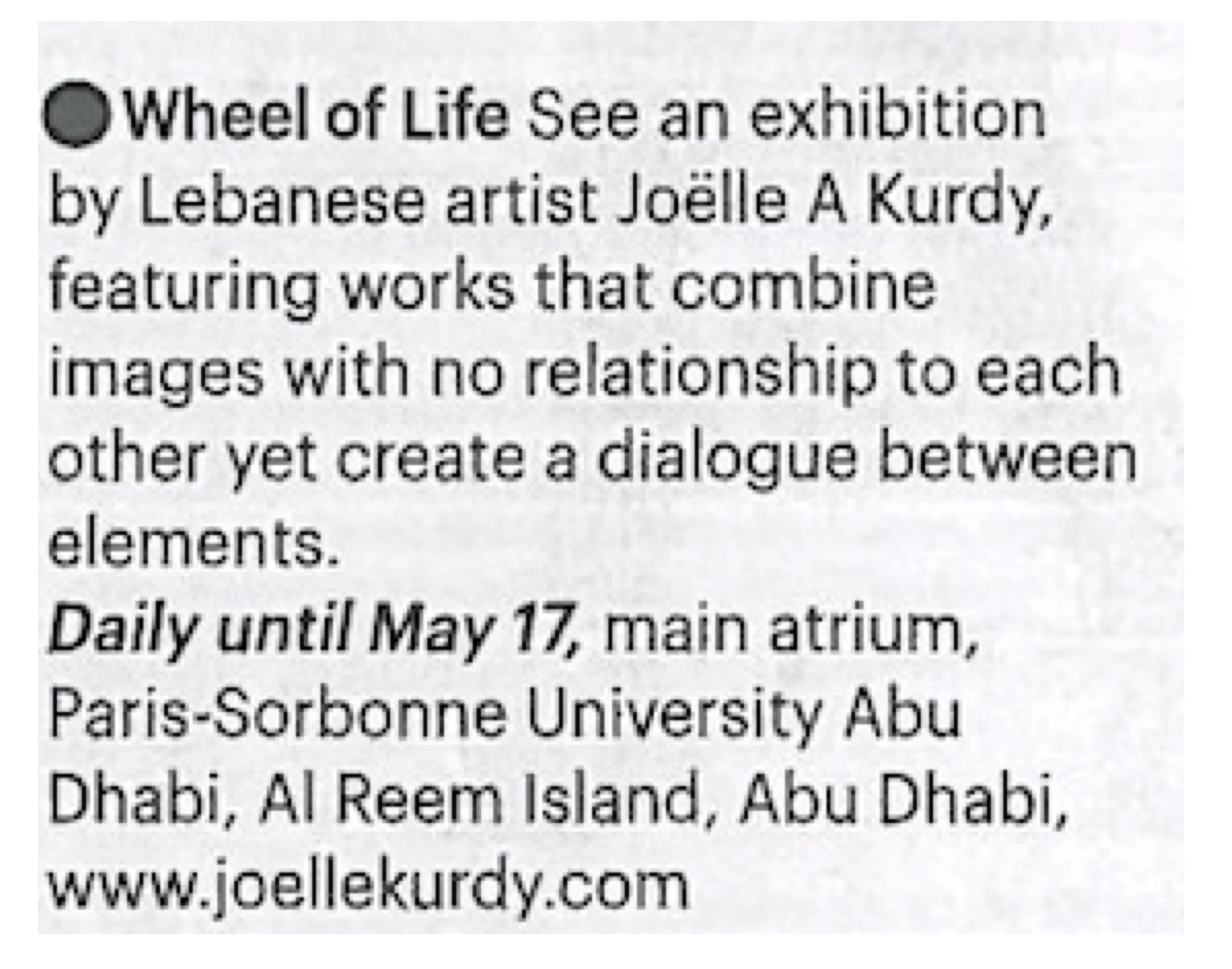 Joelle A Kurdy - May 12th 2016 - The National copy3.jpg