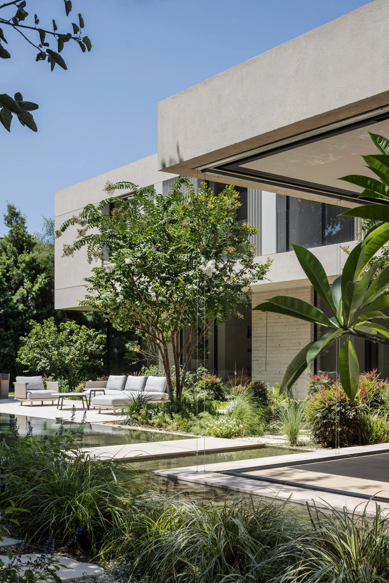 house-in-a-garden-anderman-architects-house-within-planting-0027.jpg